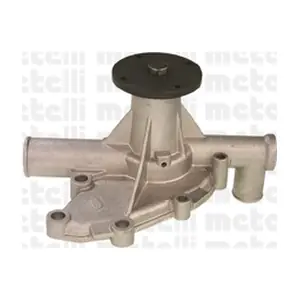 24-0149 METELLI