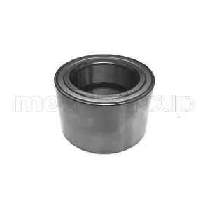 19-2691 METELLI