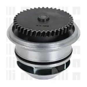 24-1010 METELLI