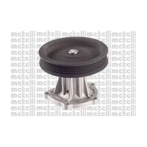 24-1128 METELLI