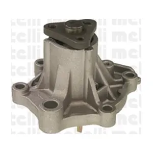 24-0459 METELLI