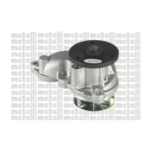 24-1177 METELLI