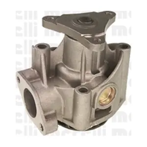 24-0497 METELLI