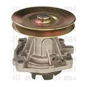 240528 METELLI