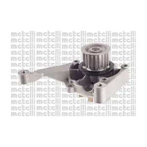 24-1108 METELLI