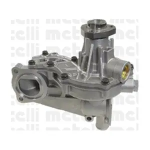 24-0779 METELLI