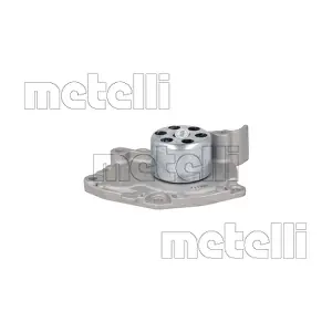 24-1097 METELLI