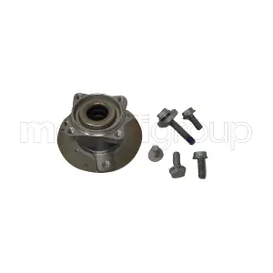 19-2966 METELLI