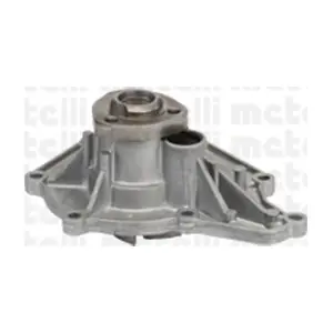 24-0979 METELLI