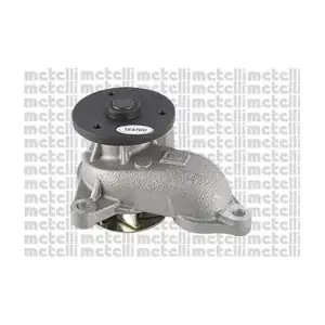 24-1203 METELLI