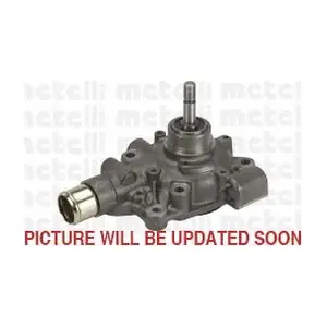 24-0916 METELLI