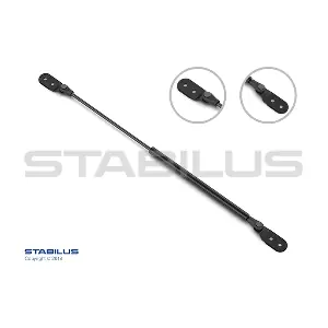 768389 STABILUS
