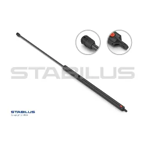 529393 STABILUS
