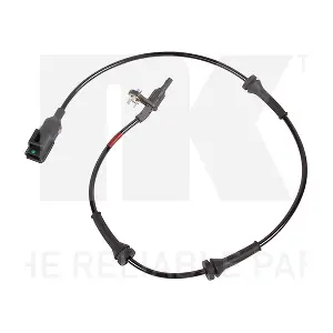 294007 NK