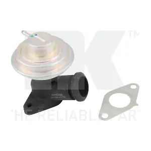 4599008 NK