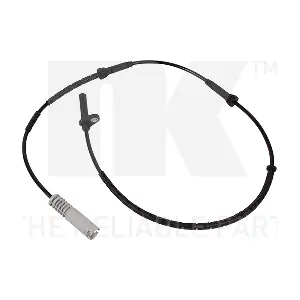 291543 NK