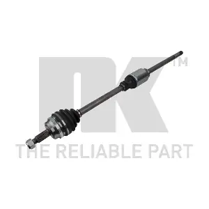 NK 503656