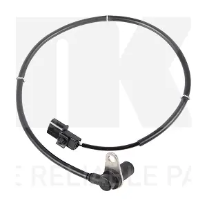293017 NK
