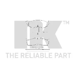 NK 229308