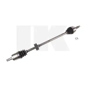 502609 NK