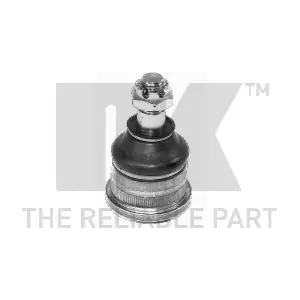 NK 5043608