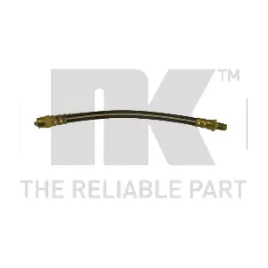 NK 859918