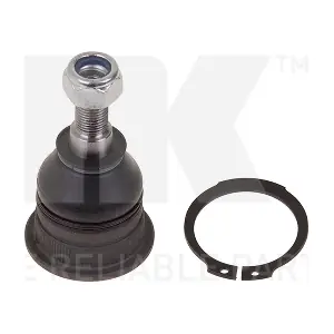 NK 5043401