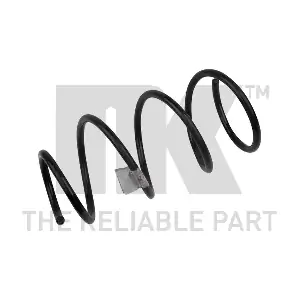 541006 NK