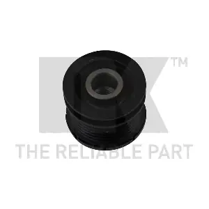 NK 4910073