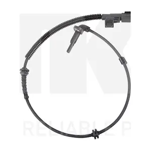 295027 NK
