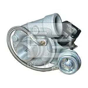 312196 BorgWarner (Schwitzer)