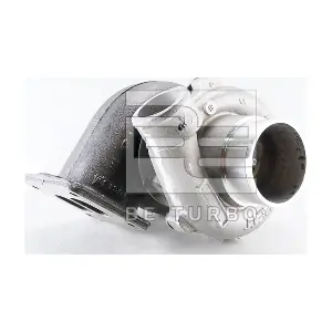 313201 BorgWarner (Schwitzer)