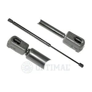 AG-17173 OPTIMAL