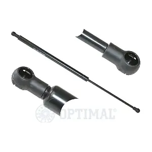 AG-17493 OPTIMAL