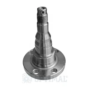 04-P011 OPTIMAL