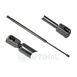 AG-39089 OPTIMAL
