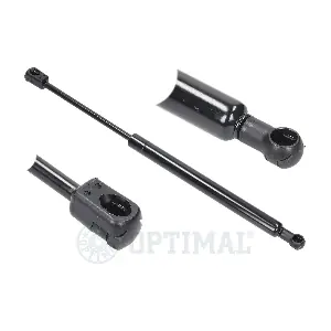 AG40196 OPTIMAL