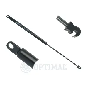 420207 STABILUS