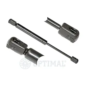 AG-17307 OPTIMAL