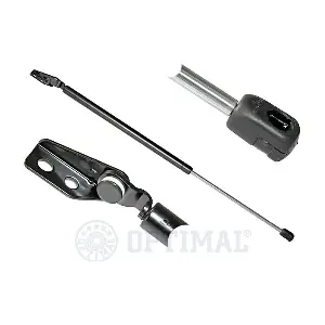 AG-39059 OPTIMAL