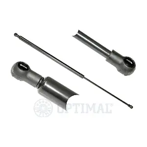 AG-17313 OPTIMAL