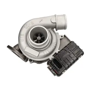 209132 MAPCO