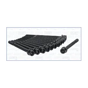 AJUSA 81009500