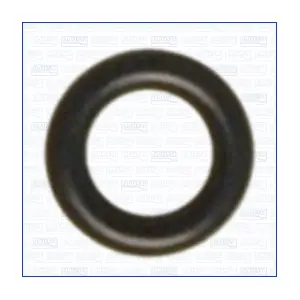 AJUSA 16095100