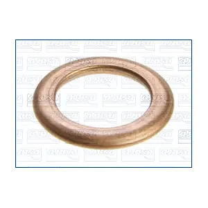 AJUSA 18006100