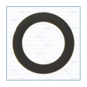 16096900 AJUSA