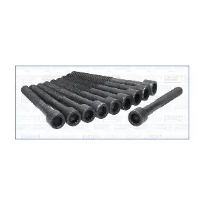 AJUSA 81013300