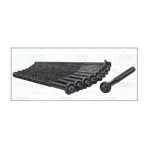 AJUSA 81029300
