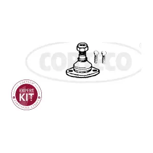 49400961 CORTECO