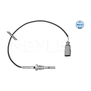 07Z906088P VW